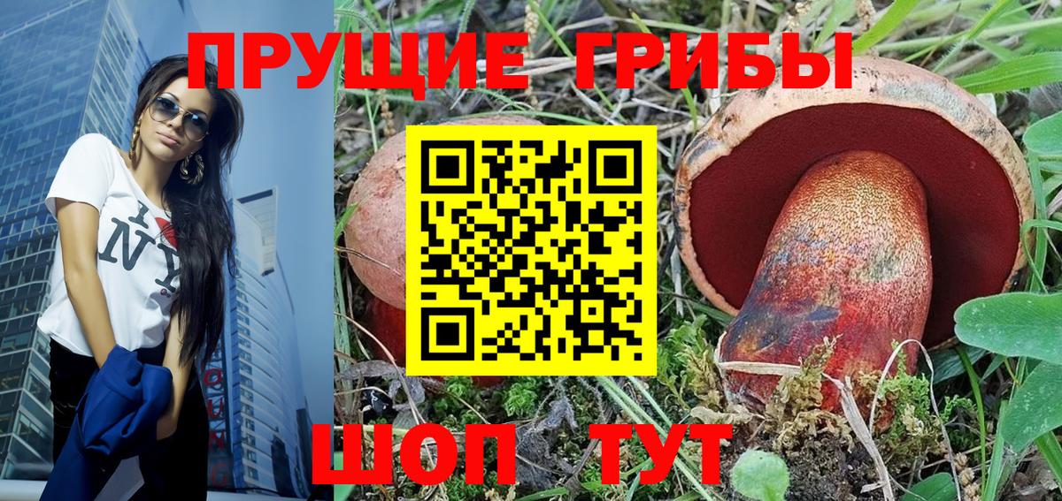 Псилоцибиновые грибы прущие грибы  Псилоцибиновые грибы GOLDEN TEACHER  Люберцы  Вход с VPN 