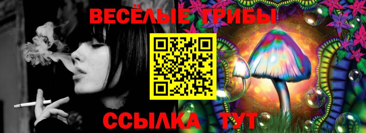 Галлюциногенные грибы мицелий Люберцы
